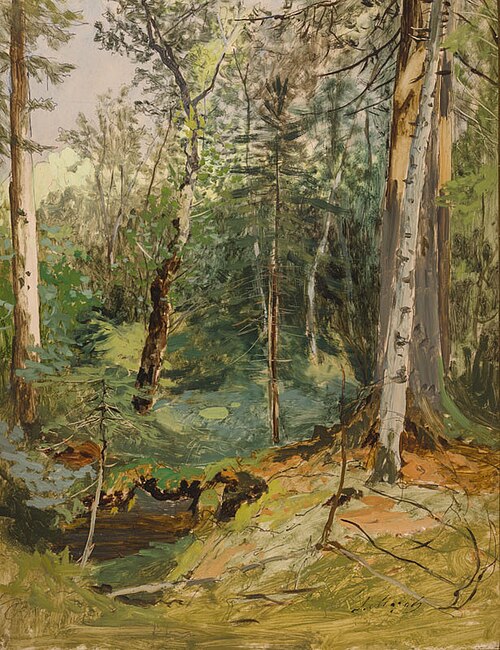 Swamp in a Forest, , Julius Mařák