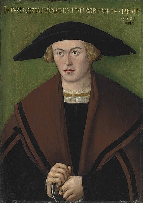 Porträt des Jochum Wirman, 1521, Hans Brosamer