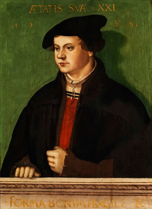 Portrait d'un jeune homme, 1538, Hans Brosamer