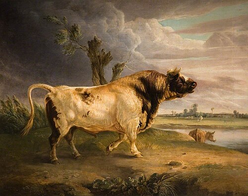 A Prize Bull, 1838, Edmund Bristow