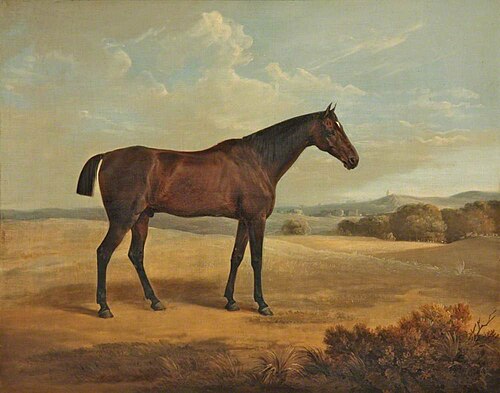 Bay Horse in a Landscape, , Edmund Bristow