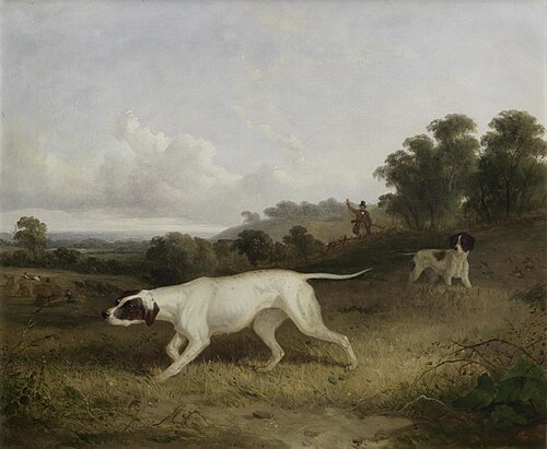 Pointers in a landscape, , Edmund Bristow