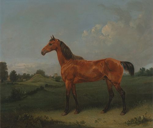 A Bay Horse in a Field, 1825, Edmund Bristow