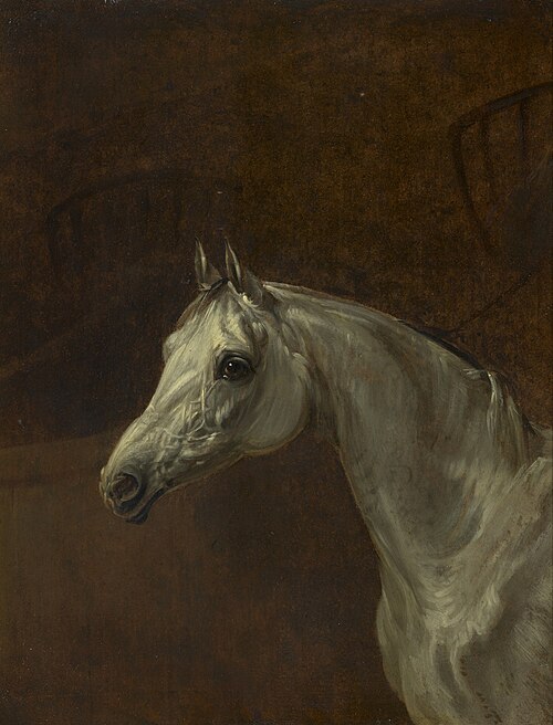 Study of a Grey Horse, 1842, Edmund Bristow