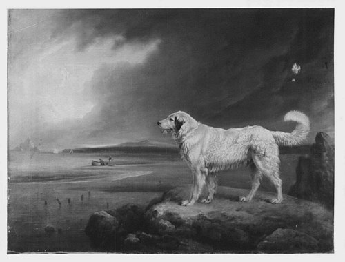 Coastguard, 1800, Edmund Bristow