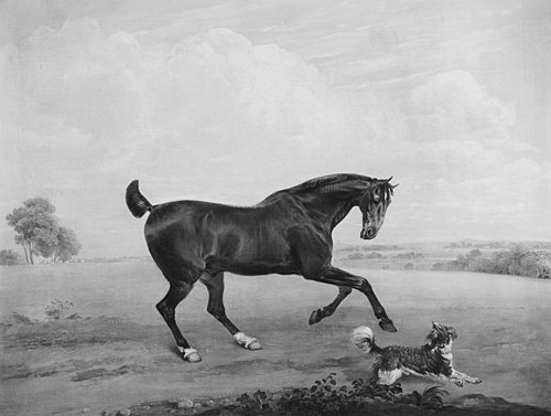 "Beauty" with a Spaniel, 1821, Edmund Bristow