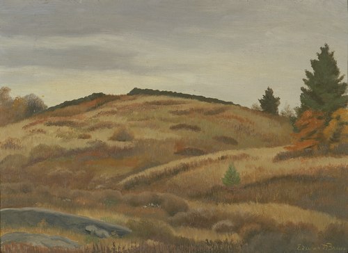 Autumn Fields, , Edward Bruce