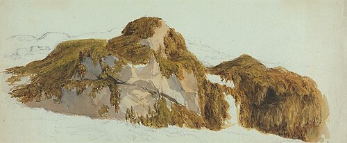 Study of Rocks Covered with Seaweed, , Edward Duncan