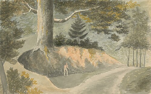 Road in the Forest, , Edward Francis Burney