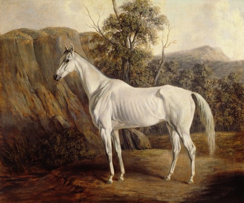 Bolivia, 1836, Edward Troye