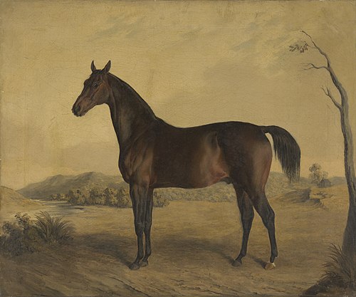 Tranby, 1835, Edward Troye
