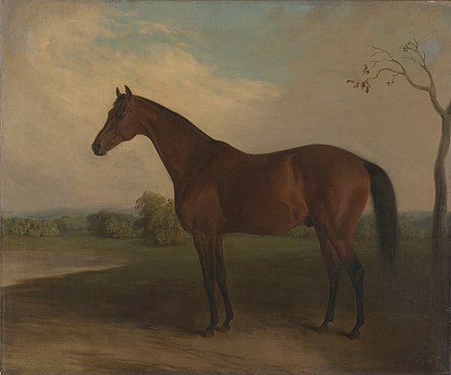 Sovereign, 1840, Edward Troye