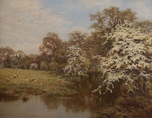 Hawthorn Blossoms, , Edward Wilkins Waite