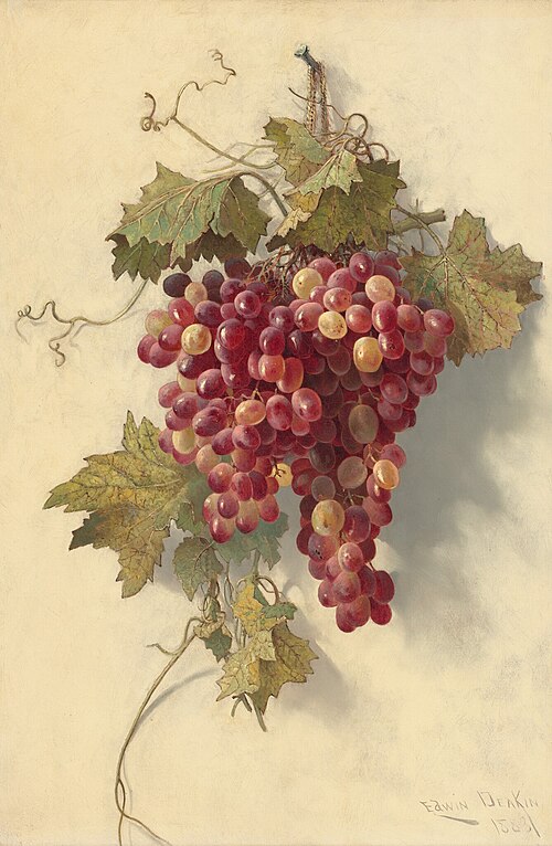 Grapes Against White Wall, 1883, Edwin Deakin