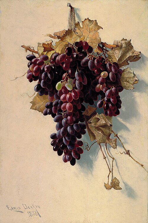 Still Life with Grapes, 1888, Edwin Deakin