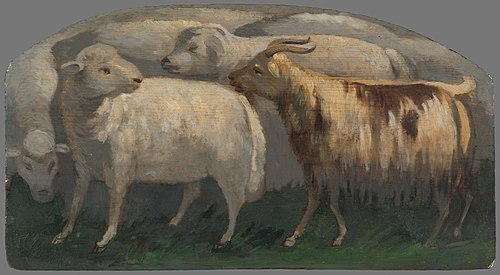 Ovce, 1830, Maximilián Ratskay