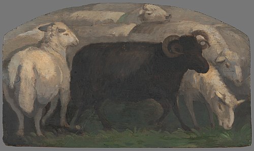 Baran, 1830, Maximilián Ratskay