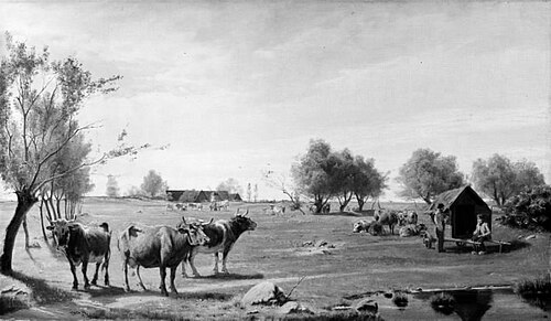 Cows in a Field, 1872, Otto Carl Bentzon Haslund