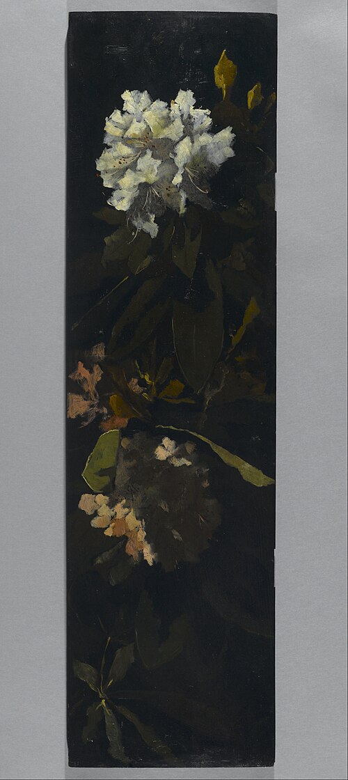 Rhododendrons, 1882, Elizabeth Boott