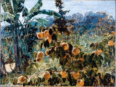 Backyard in Covington, 1930, Ellsworth Woodward