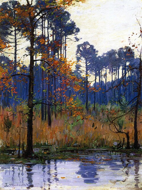 Winter in Southern Louisiana, 1911, Ellsworth Woodward