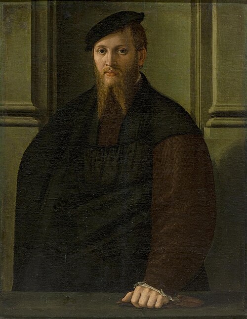 Portrait of a Man, 1550, Franciabigio