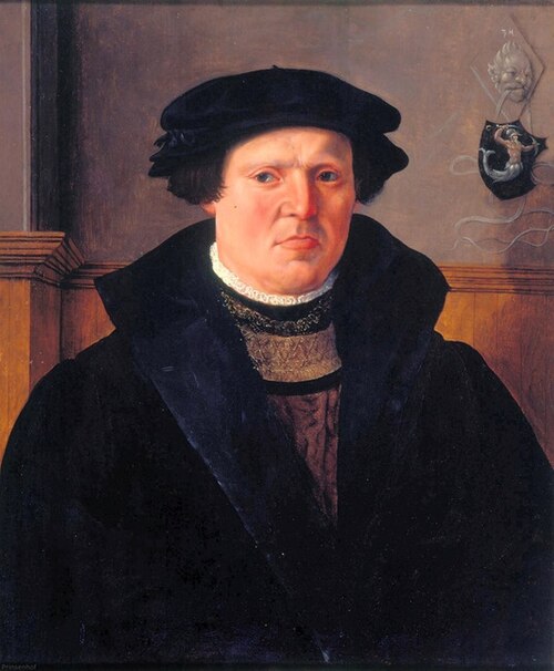 Portrait of a man, possibly from the Delft family Meerman, 1550, Maarten van Heemskerck
