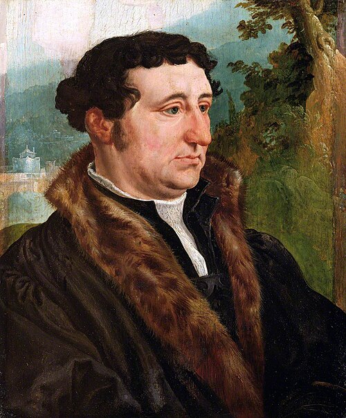 Portrait of a Man, 1528, Maarten van Heemskerck