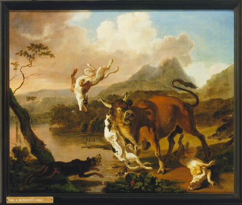 Honden vallen een stier aan, 1674, Abraham Hondius