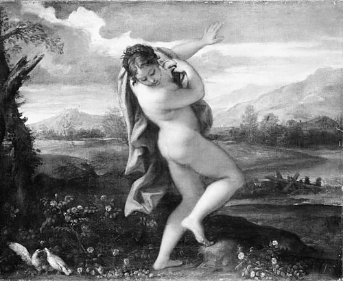 The Origin of the Red Rose, 1676, Carlo Maratta