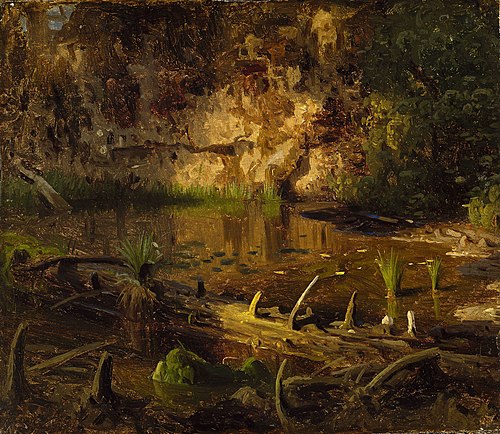 Study of a fallen Tree, 1851, August Cappelen