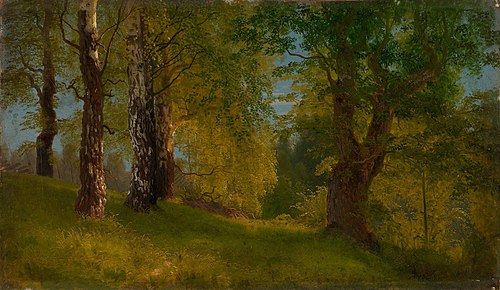 Study of a Wood, 1848, August Cappelen