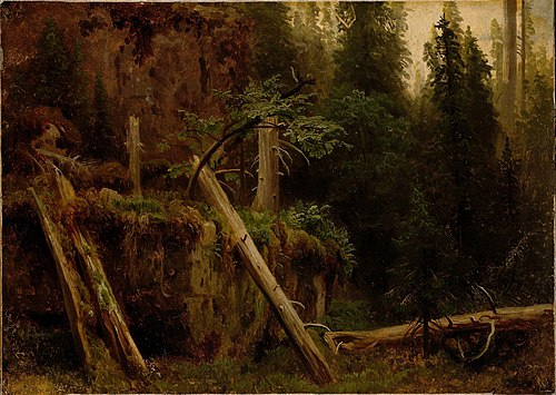 Landscape Study with decaying Trees, 1851, August Cappelen
