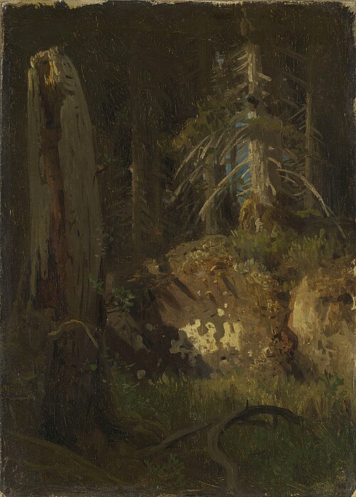 Landscape Study with Decaying Trees, 1851, August Cappelen