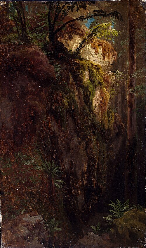 Landscape Study with a Ravine, 1850, August Cappelen
