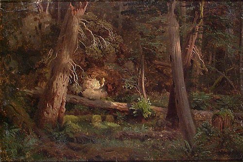 Forest Study, 1851, August Cappelen