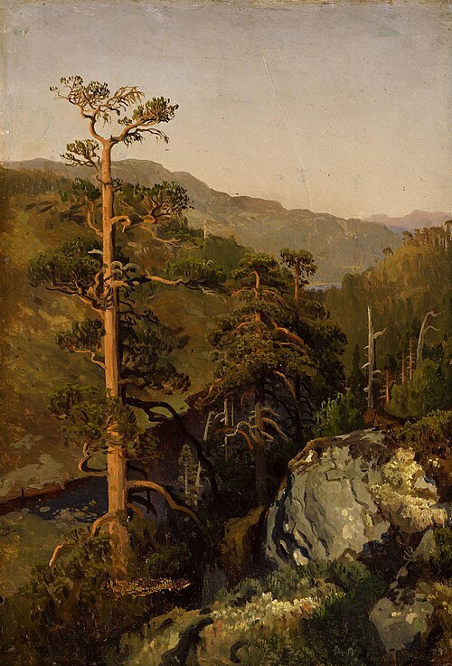 Rocky Landscape with Pinetreees, 1850, August Cappelen