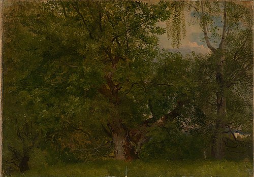 Wood near Ulefoss, 1848, August Cappelen