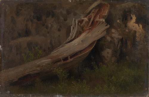 Study of a decaying Trunk, 1851, August Cappelen