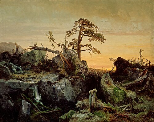 Decaying forest, 1852, August Cappelen
