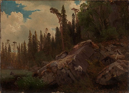 Landscape Study with Trees and Rocks, 1851, August Cappelen