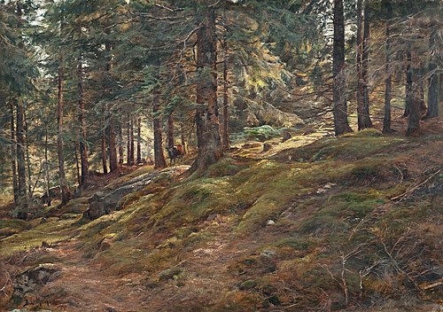 Light in the Woods, , Berndt Lindholm