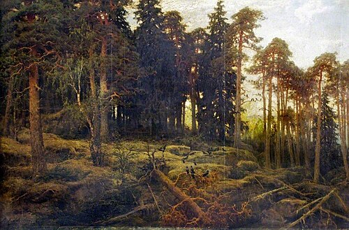 Forest in Finland, , Berndt Lindholm