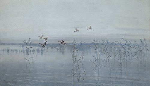 Ducks over Swamps, 1892, Stanisław Masłowski