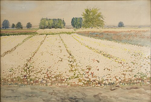 Buckwheat Field Landscape, 1922, Stanisław Masłowski