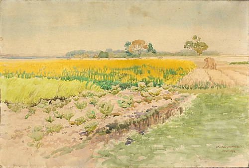 Lupin field, 1924, Stanisław Masłowski