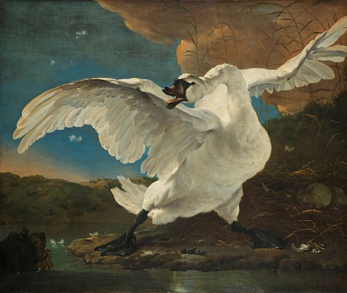 Le Cygne menacé, 1650, Jan Asselyn