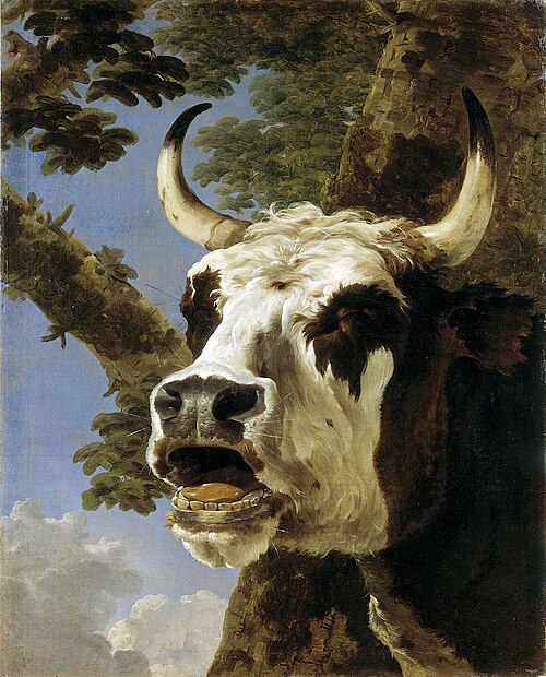 Head of a lowing Ox, 1650, Jan Asselijn