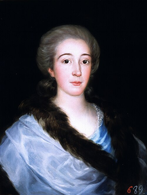 Portrait of Doña María Teresa de Vallabriga y Rozas (1759-1820), 1783, Francisco Goya