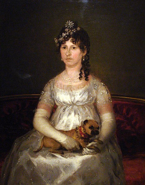 Portrait of Francisca Vicenta Chollet y Caballero, 1806, Francisco de Goya
